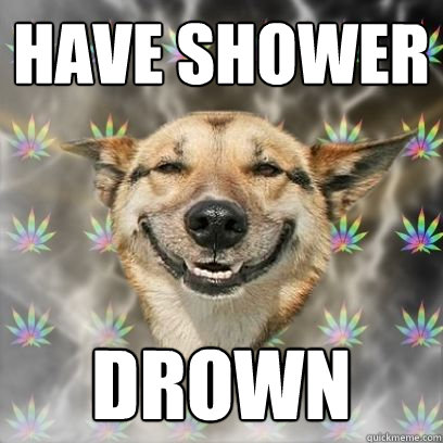 Have shower Drown  Stoner Dog