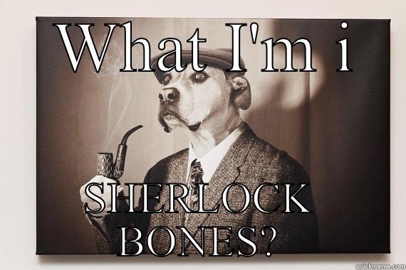  WHAT I'M I SHERLOCK BONES? Misc