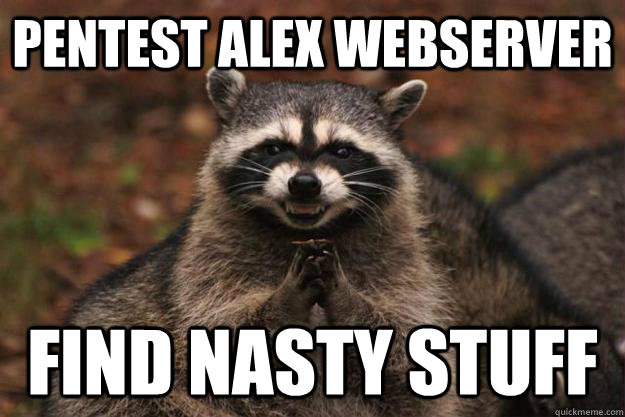 pentest alex webserver find nasty stuff   Evil Plotting Raccoon