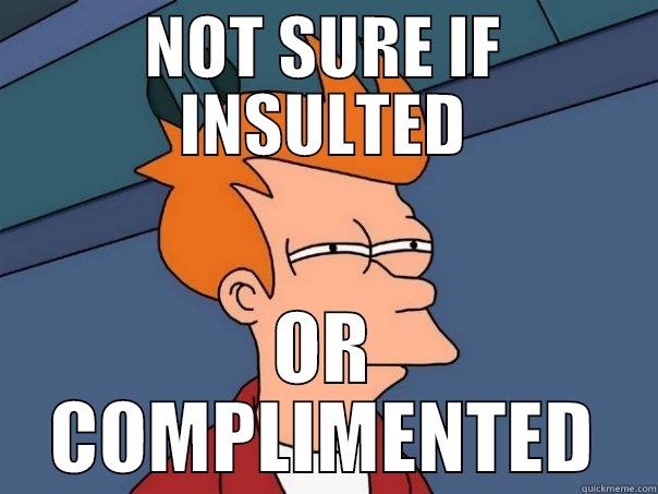 NOT SURE IF INSULTED OR COMPLIMENTED Futurama Fry