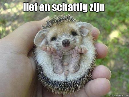 lief en schattig zijn  Egel