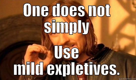 ONE DOES NOT SIMPLY USE MILD EXPLETIVES. Boromir