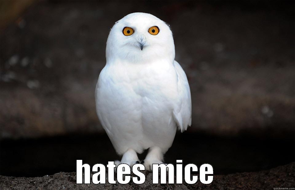  HATES MICE Misc