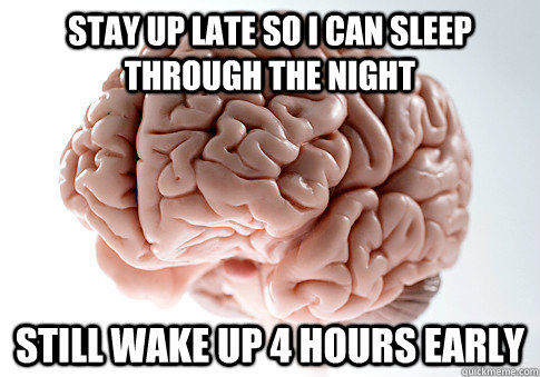 stay up late so i can sleep through the night still wake up 4 hours early - stay up late so i can sleep through the night still wake up 4 hours early  Scumbag Brain