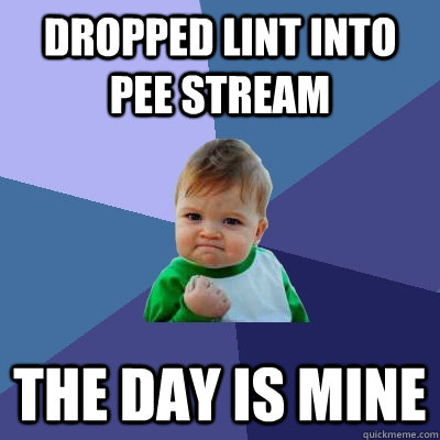 dropped lint into pee stream the day is mine  Success Kid