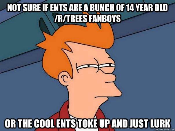 Not sure if ents are a bunch of 14 year old /r/trees fanboys Or the cool ents toke up and just lurk  Futurama Fry