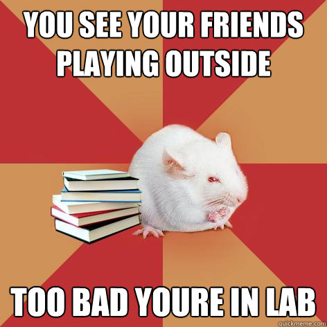 You see your friends playing outside too bad youre in lab - You see your friends playing outside too bad youre in lab  Science Major Mouse