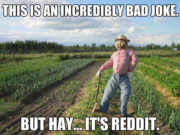 This is an incredibly bad joke. But Hay... It's Reddit.  Scarecrow