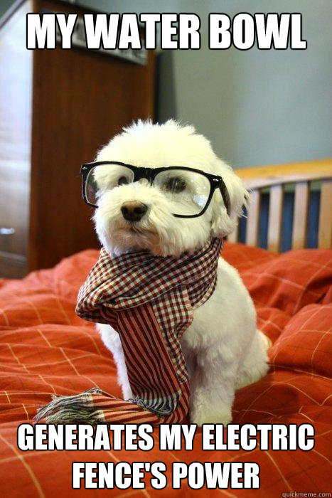 My water bowl generates my electric fence's power  Hipster Dog