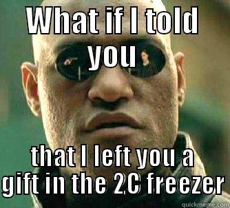 WHAT IF I TOLD YOU THAT I LEFT YOU A GIFT IN THE 2C FREEZER Matrix Morpheus