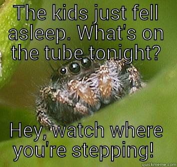 Sometimes spiders like to relax at night too - THE KIDS JUST FELL ASLEEP. WHAT'S ON THE TUBE TONIGHT? HEY, WATCH WHERE YOU'RE STEPPING!  Misunderstood Spider