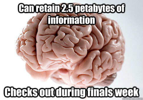 Can retain 2.5 petabytes of information Checks out during finals week  Scumbag Brain