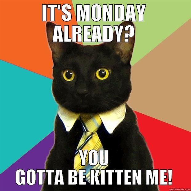 Monday already? - IT'S MONDAY ALREADY? YOU GOTTA BE KITTEN ME! Business Cat