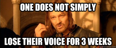 One does not simply Lose their voice for 3 weeks  One Does Not Simply