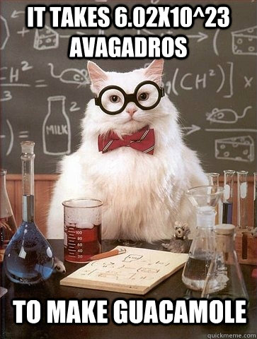 It takes 6.02x10^23 Avagadros To make Guacamole  Chemistry Cat