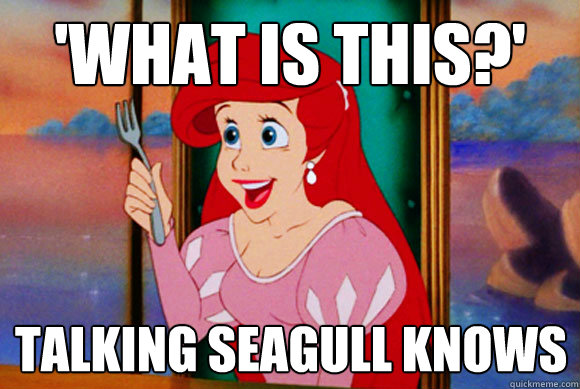 'What is this?' Talking seagull knows - 'What is this?' Talking seagull knows  Disney Logic