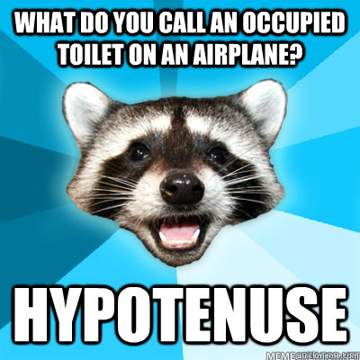 what do you call an occupied toilet on an airplane? hypotenuse   Lame Pun Coon