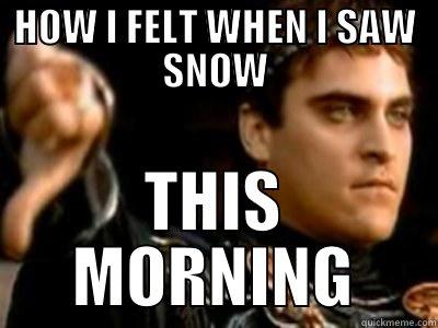 HOW I FELT WHEN I SAW SNOW THIS MORNING Downvoting Roman