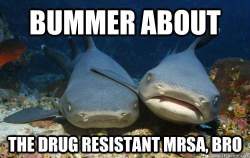 Bummer about the drug resistant MRSA, bro - Bummer about the drug resistant MRSA, bro  Compassionate Shark Friend