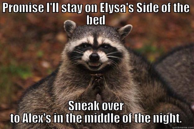 PROMISE I'LL STAY ON ELYSA'S SIDE OF THE BED SNEAK OVER TO ALEX'S IN THE MIDDLE OF THE NIGHT. Evil Plotting Raccoon