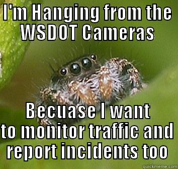 Misunderstood Spider - I'M HANGING FROM THE WSDOT CAMERAS BECUASE I WANT TO MONITOR TRAFFIC AND REPORT INCIDENTS TOO Misunderstood Spider