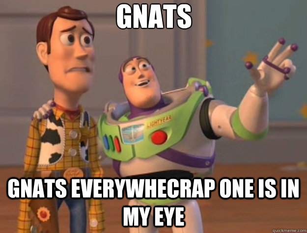 gnats gnats everywhecrap one is in my eye - gnats gnats everywhecrap one is in my eye  Toy Story