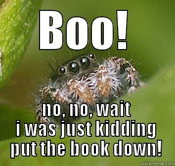 BOO! NO, NO, WAIT I WAS JUST KIDDING PUT THE BOOK DOWN! Misunderstood Spider