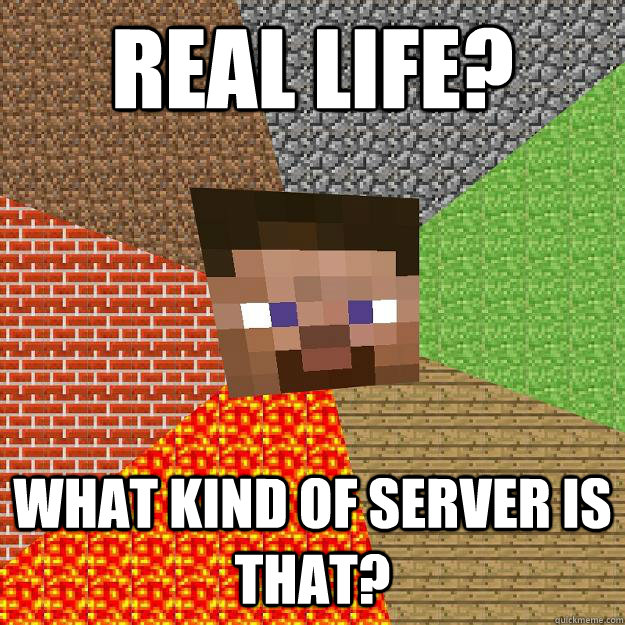 real life? WHAT KIND OF SERVER IS THAT?  Minecraft