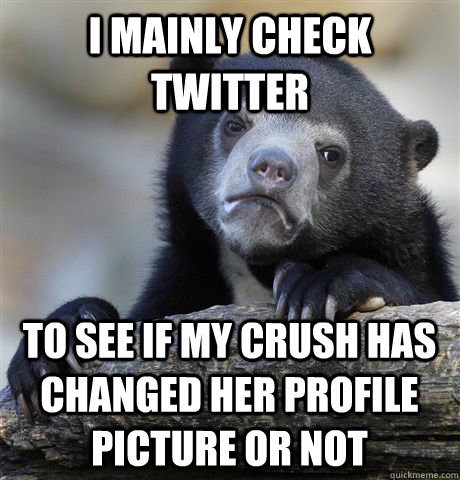 I mainly check twitter  to see if my crush has changed her profile picture or not  Confession Bear