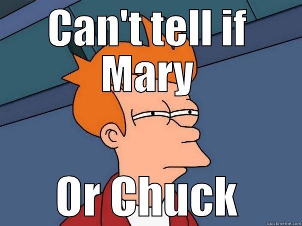 CAN'T TELL IF MARY OR CHUCK Futurama Fry