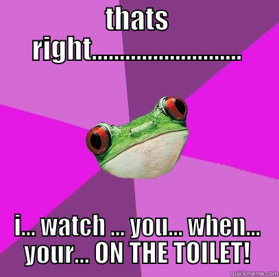 THATS RIGHT........................... I... WATCH ... YOU... WHEN... YOUR... ON THE TOILET! Foul Bachelorette Frog