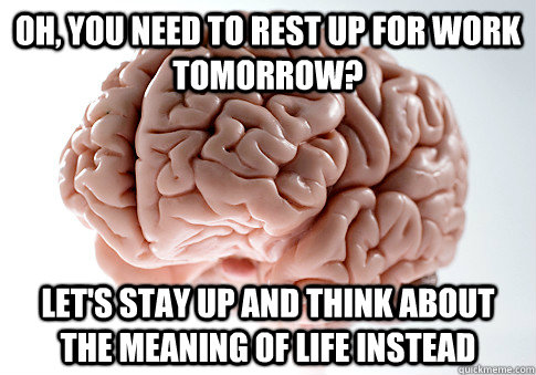 Oh, you need to rest up for work tomorrow? Let's stay up and think about the meaning of life instead - Oh, you need to rest up for work tomorrow? Let's stay up and think about the meaning of life instead  Scumbag Brain