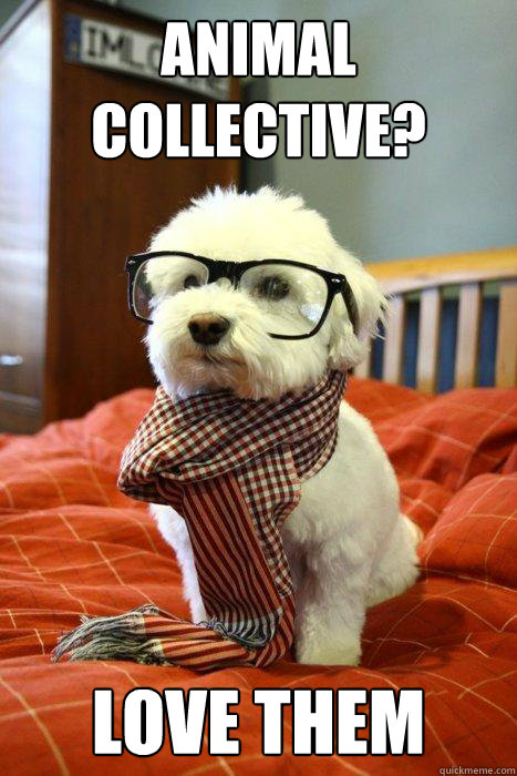 Animal collective? Love them  Hipster Dog