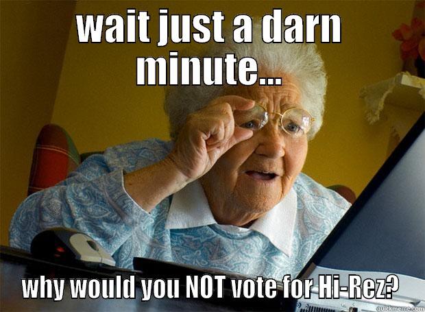 WAIT JUST A DARN MINUTE... WHY WOULD YOU NOT VOTE FOR HI-REZ? Grandma finds the Internet