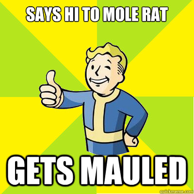 says hi to mole rat gets mauled   Fallout new vegas