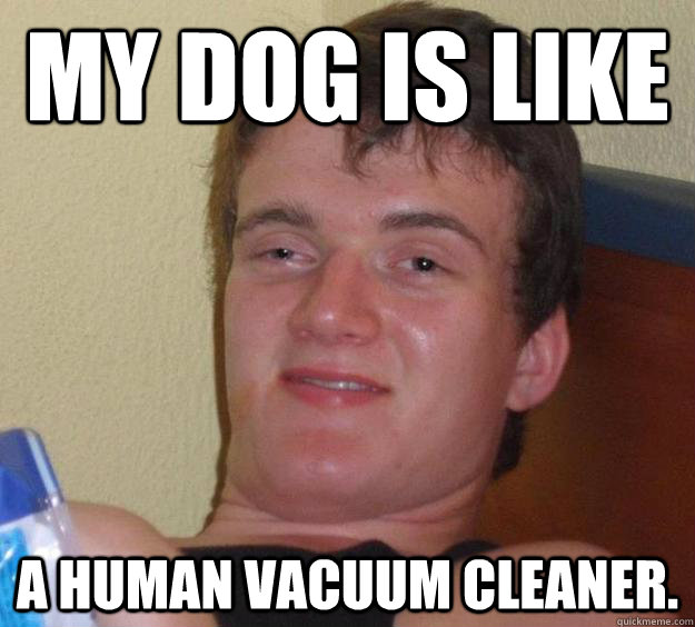 My dog is like A human vacuum cleaner.  10 Guy