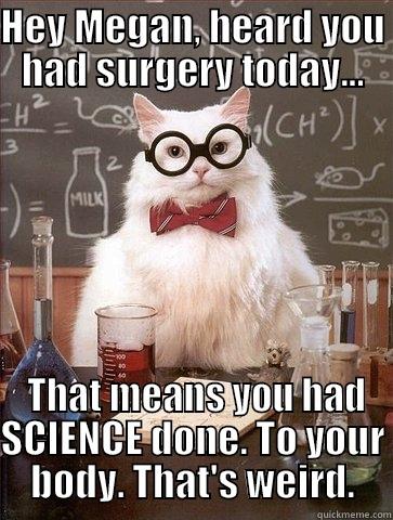 HEY MEGAN, HEARD YOU HAD SURGERY TODAY...  THAT MEANS YOU HAD SCIENCE DONE. TO YOUR BODY. THAT'S WEIRD. Chemistry Cat