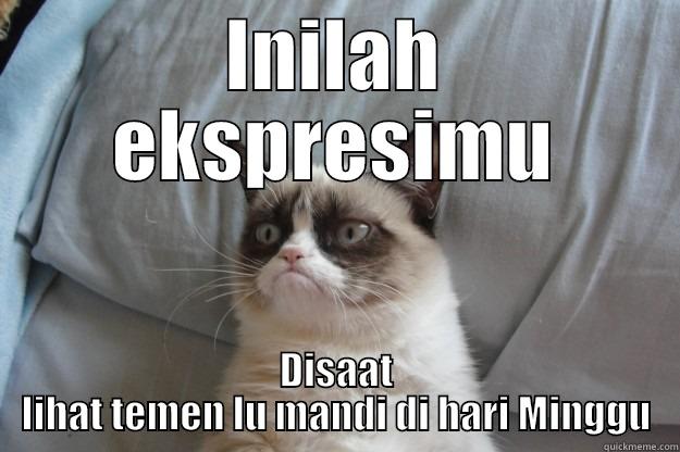 INILAH EKSPRESIMU DISAAT LIHAT TEMEN LU MANDI DI HARI MINGGU Grumpy Cat