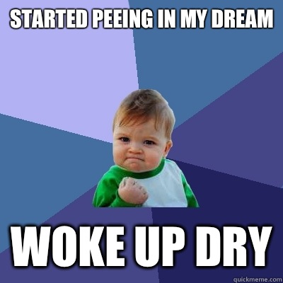 Started peeing in my dream  Woke up dry  Success Kid