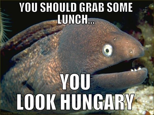 YOU SHOULD GRAB SOME LUNCH... YOU LOOK HUNGARY Bad Joke Eel