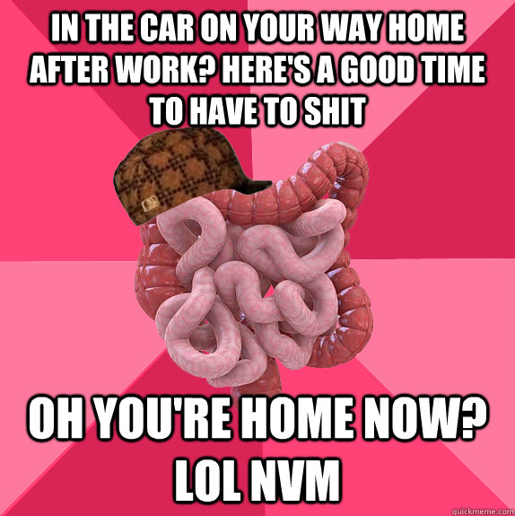 In the car on your way home after work? Here's a good time to have to shit Oh you're home now? Lol nvm  Scumbag Intestines