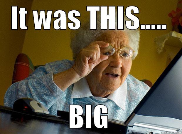 no i swear - IT WAS THIS..... BIG Grandma finds the Internet