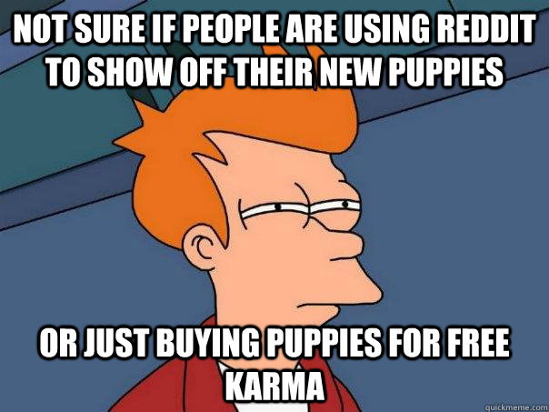 Not sure if people are using reddit to show off their new puppies Or just buying puppies for free Karma  Futurama Fry