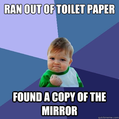 Ran out of toilet paper Found a copy of The Mirror  Success Kid