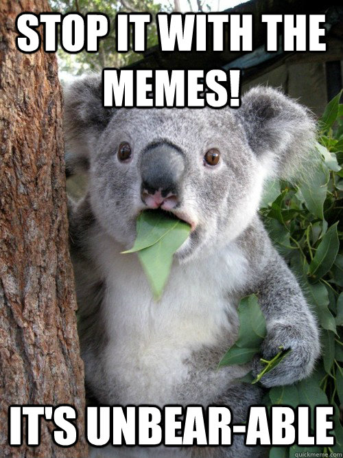 Stop it with the MEMES! It's unbear-able  koala bear