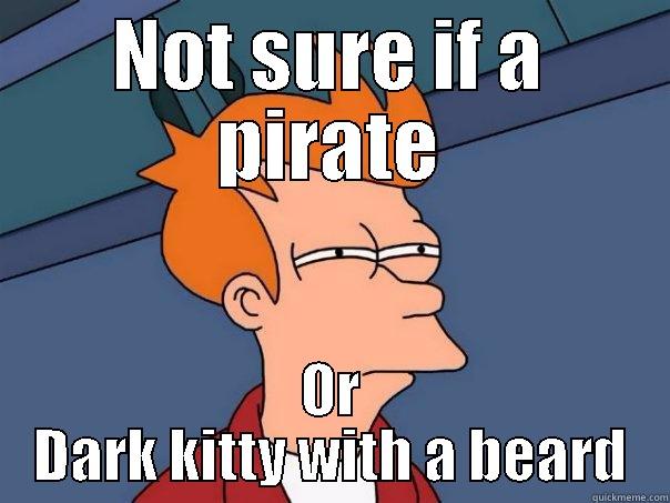 You are a Pirate - NOT SURE IF A PIRATE OR DARK KITTY WITH A BEARD Futurama Fry