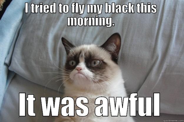 I TRIED TO FLY MY BLACK THIS MORNING. IT WAS AWFUL Grumpy Cat