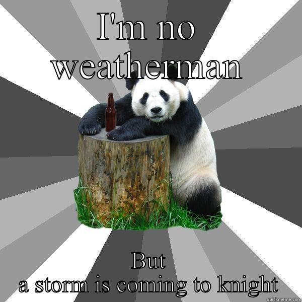 I'M NO WEATHERMAN BUT A STORM IS COMING TO KNIGHT Pickup-Line Panda