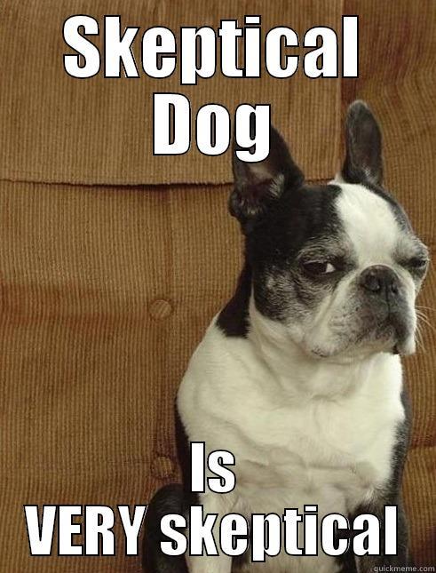 Skeptical dog - SKEPTICAL DOG IS VERY SKEPTICAL Misc