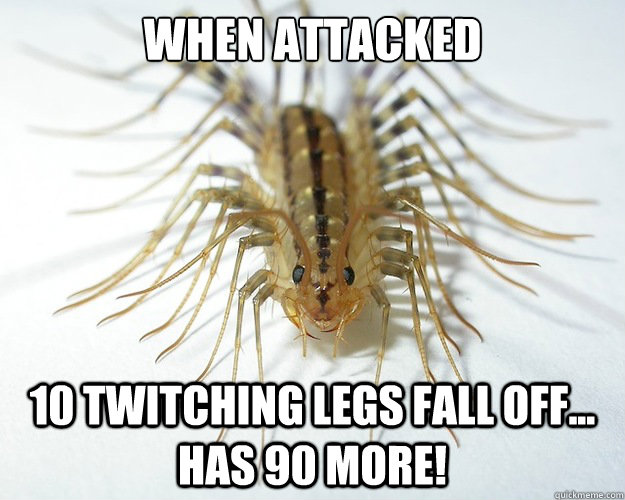 When Attacked 10 twitching legs fall off... has 90 more!  